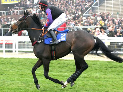 Champion Court: Reappears at Ascot on Saturday