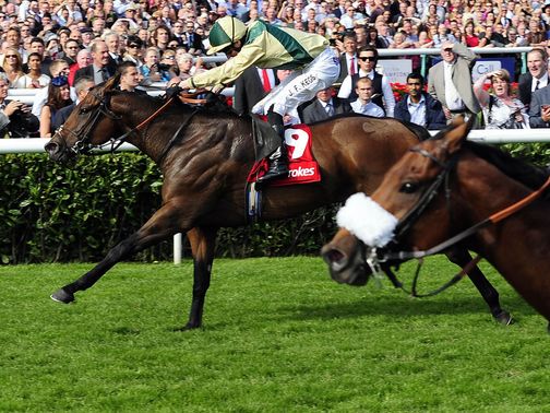 Doc Hay: Should take all the beating at Ayr