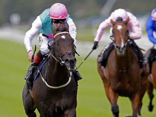 Famous Name: Will stand at the Irish National Stud