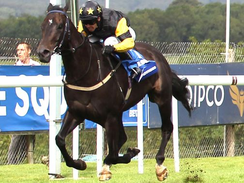 Hawkeyethenoo: On standby for the Longines Hong Kong Sprint