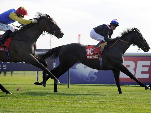 Society Rock: Took the spoils at Haydock