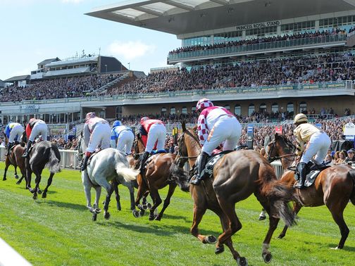 Aintree: Haldane second in Fox Hunter