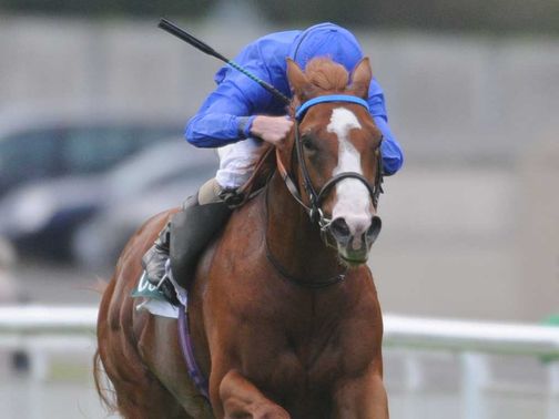 Dawn Approach had his odds slashed for the 2000 Guineas