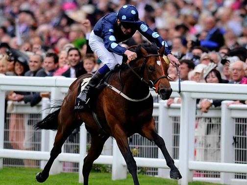 Reckless Abandon: Middle Park hopeful