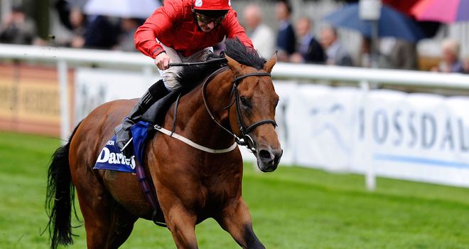 Mayson: Has been retired to stud