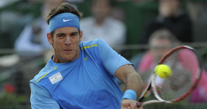 Juan Martin Del Potro: Will play through the pain barrier for Argentina