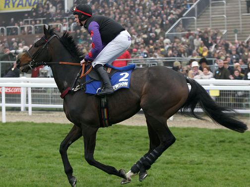 Champion Court: Could head for the Sky Bet Chase next