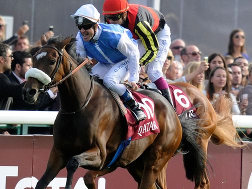 Solemia and Orfevre will do battle again on Sunday