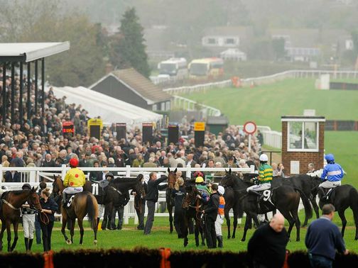Plumpton: Fit for racing