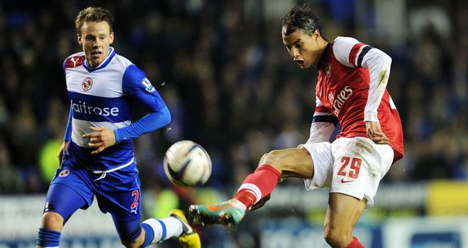 Marouane Chamakh: Did not feature in the league for Arsenal last season