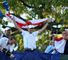 Europe - and most punters - celebrate Ryder Cup victory