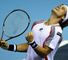 David Ferrer: Came through in three sets against a gutsy Ivan Dodig