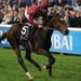Just The Judge won the Rockfel for Charles Hills