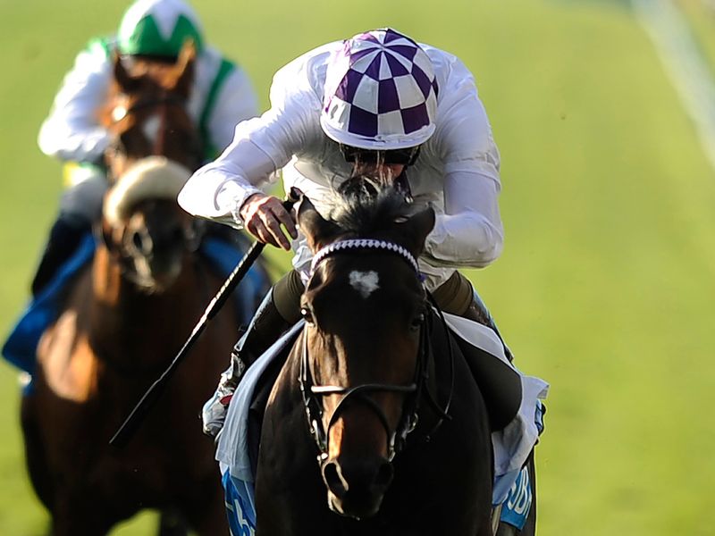 Trading Leather won the Autumn Stakes, another for Jim Bolger