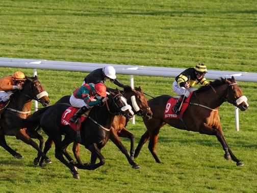 Art Scholar (right): November Handicap winner