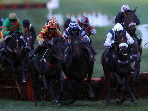 Ifandbutwhynot (yellow and red silks) in winning action