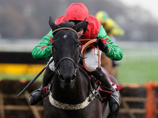 Balder Succes: One of two runners for Alan King