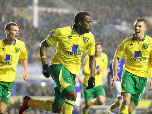 Sebastien Bassong: Allegedly received racist tweets