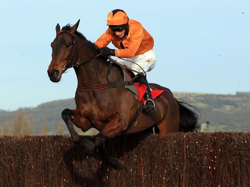 Maljimar: Runs at Cheltenham next month