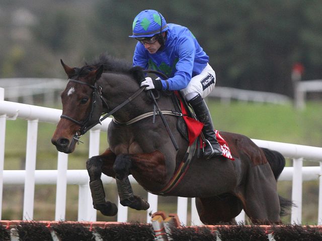Hurricane Fly: Won the Morgiana Hurdle on his return
