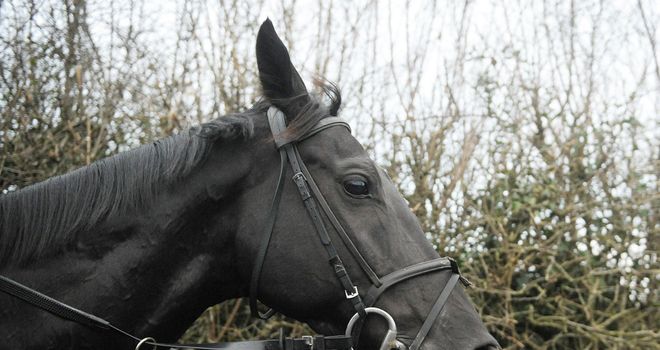 Sanctuaire: Kempton possible