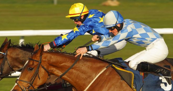 African Gold: Could end up at the Cheltenham Festival