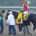 Fort Larned won the Breeders' Cup Classic