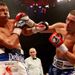 Tony Bellew and Roberto Bolonti traded blows