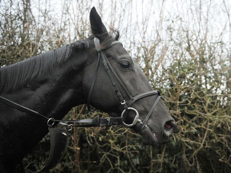 Sanctuaire: Kempton possible