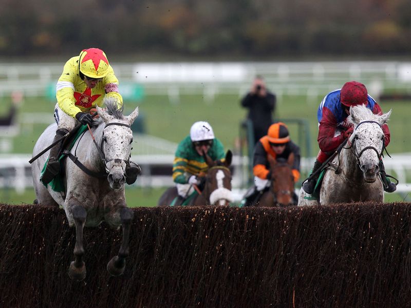 Al Ferof (left) impressed in winning the Paddy Power Gold Cup