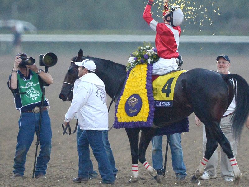 Fort Larned won the Breeders' Cup Classic