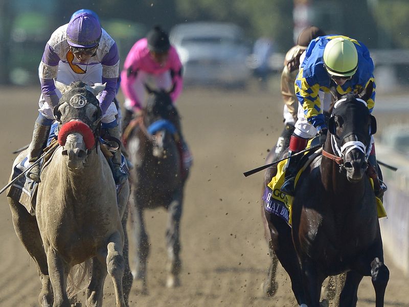 Shanghai Bobby (right) gets up to beat He's Had Enough