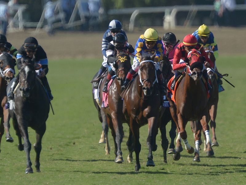 Mizdirection (left) swoops late to win the Turf Sprint