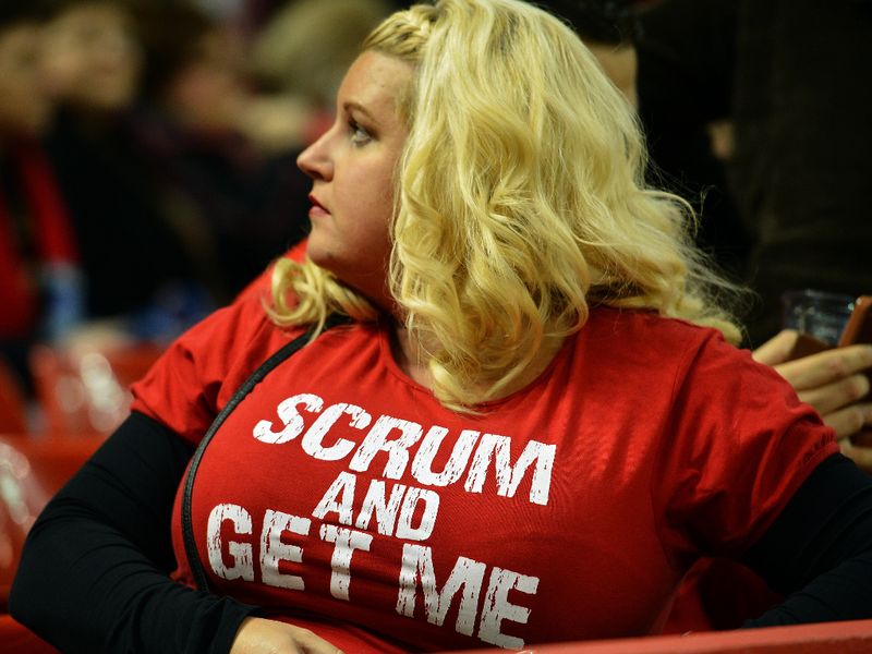 Wales fans were not given much to shout about at the Millennium Stadium