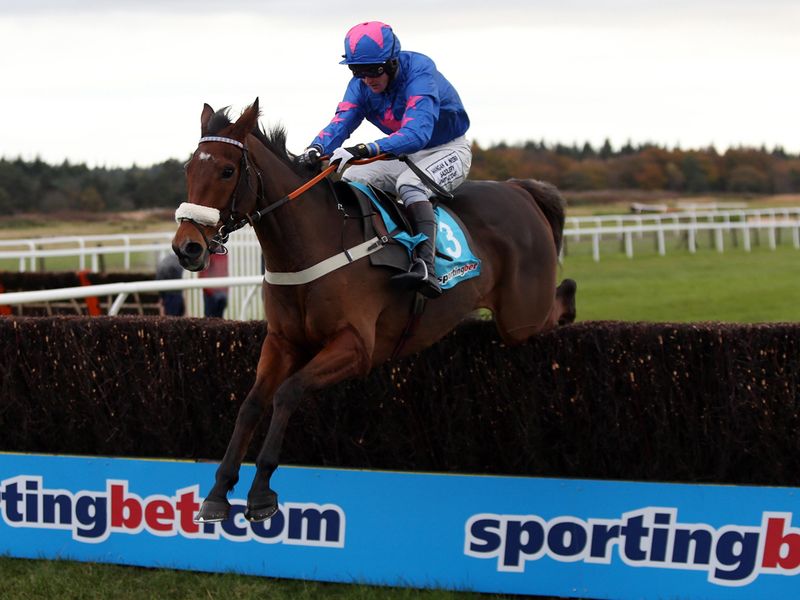...completed a big race double after Cue Card's victory in the Haldon Gold Cup
