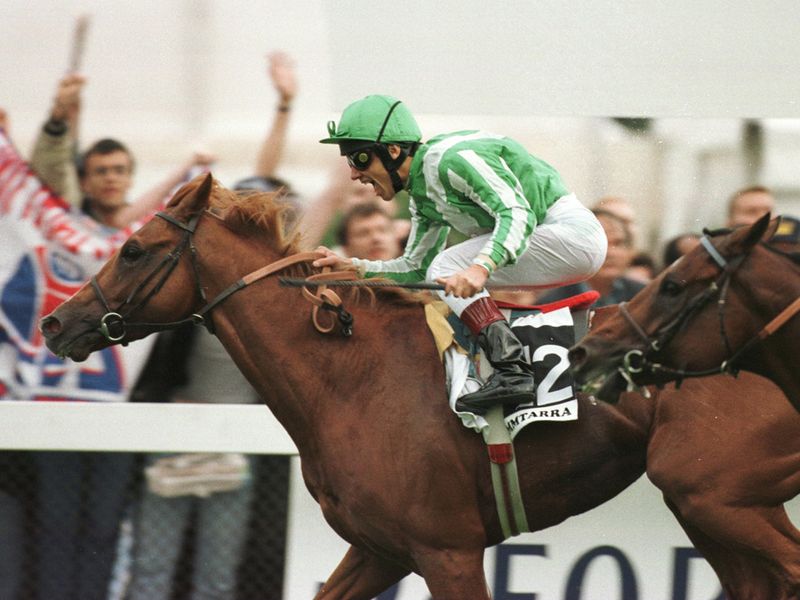 ...it's the start of a remarkable run including Lammtarra's 1995 Arc