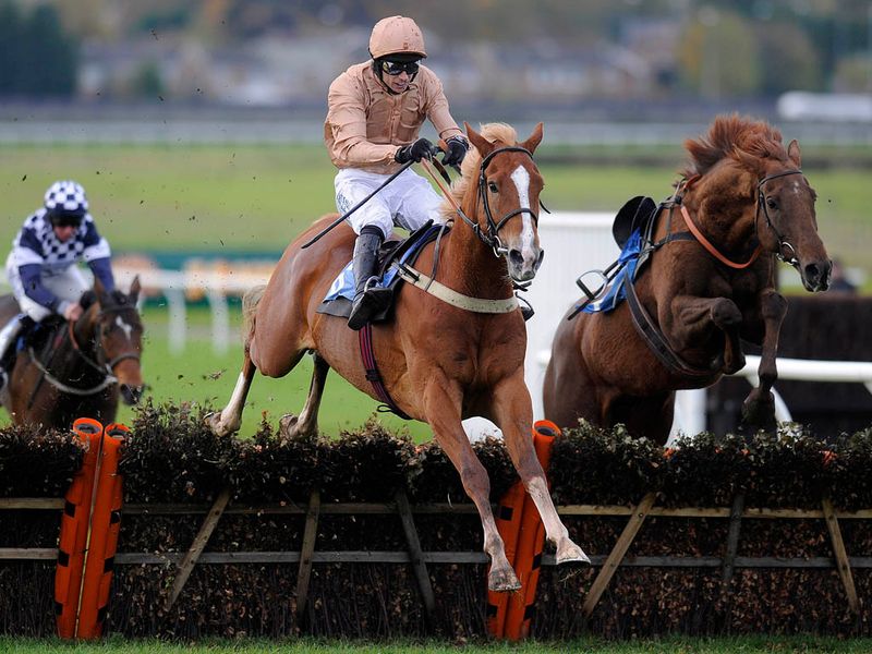 Back to Wetherby and Lordofthehouse is a remarkable winner on his hurdling debut...
