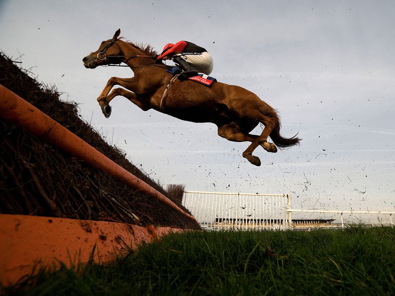 There's No Panic finished fourth despite this spectacular leap