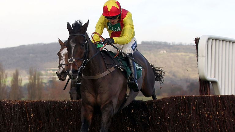 Cheltenham: Goes ahead