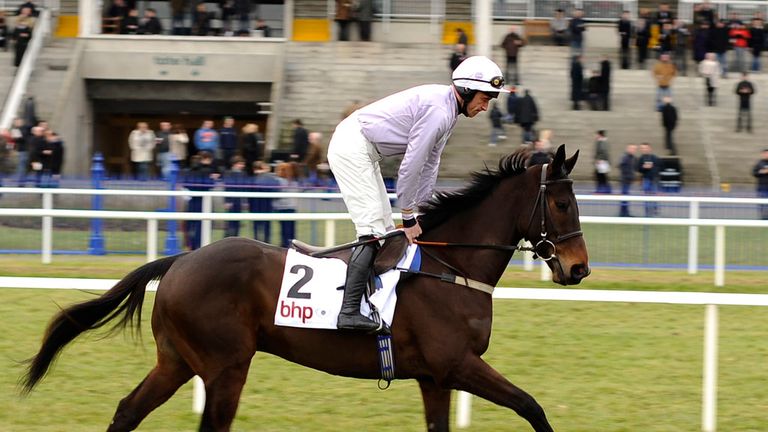Solwhit: Not certain to head to Cheltenham for the World Hurdle