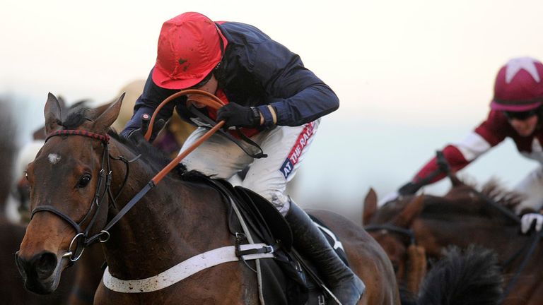 Bobs Worth: Should be favourite for the Cheltenham Gold Cup