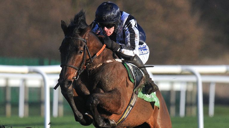 Countrywide Flame: Could face former champion in Ireland