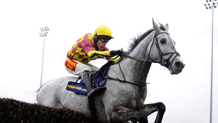 Dynaste is among 49 entries for the RSA Chase