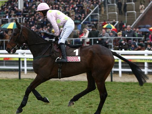 Arvika Ligeonniere: Looking to enhance his Arkle claims