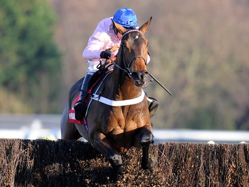 Captain Conan: One of two Nicky Henderson representatives