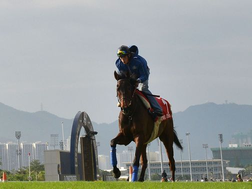 Cirrus Des Aigles: Will not run in Hong Kong