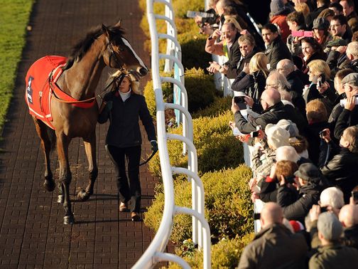 Kauto Star: Will be honoured in the Feltham