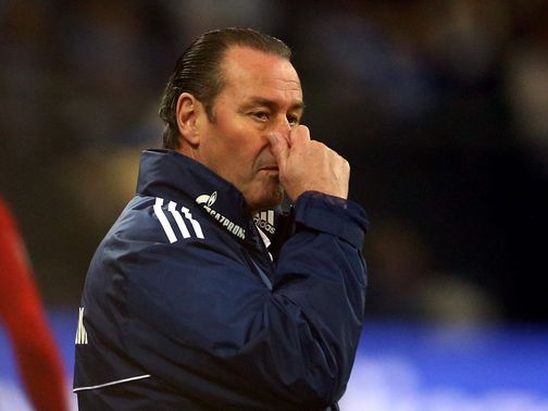 Huub Stevens: Sacked by Schalke after latest defeat