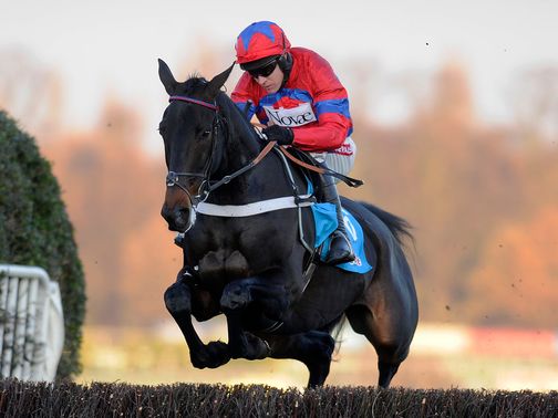 Sprinter Sacre: Ready for Victor Chandler Chase