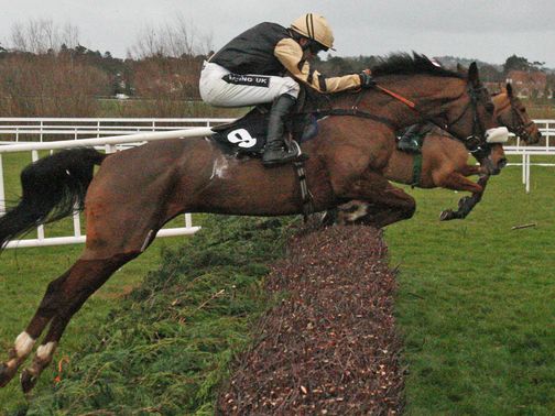 Tidal Bay: World Hurdle and Grand National his big targets